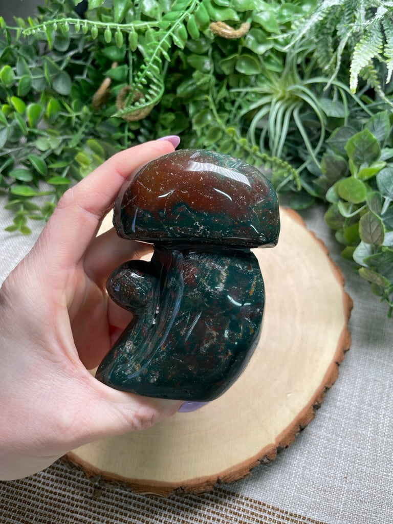 Ocean Jasper Mushrooms