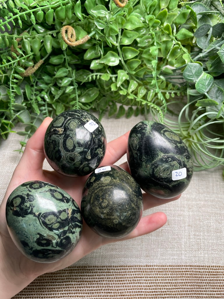 Kambaba Jasper Egg