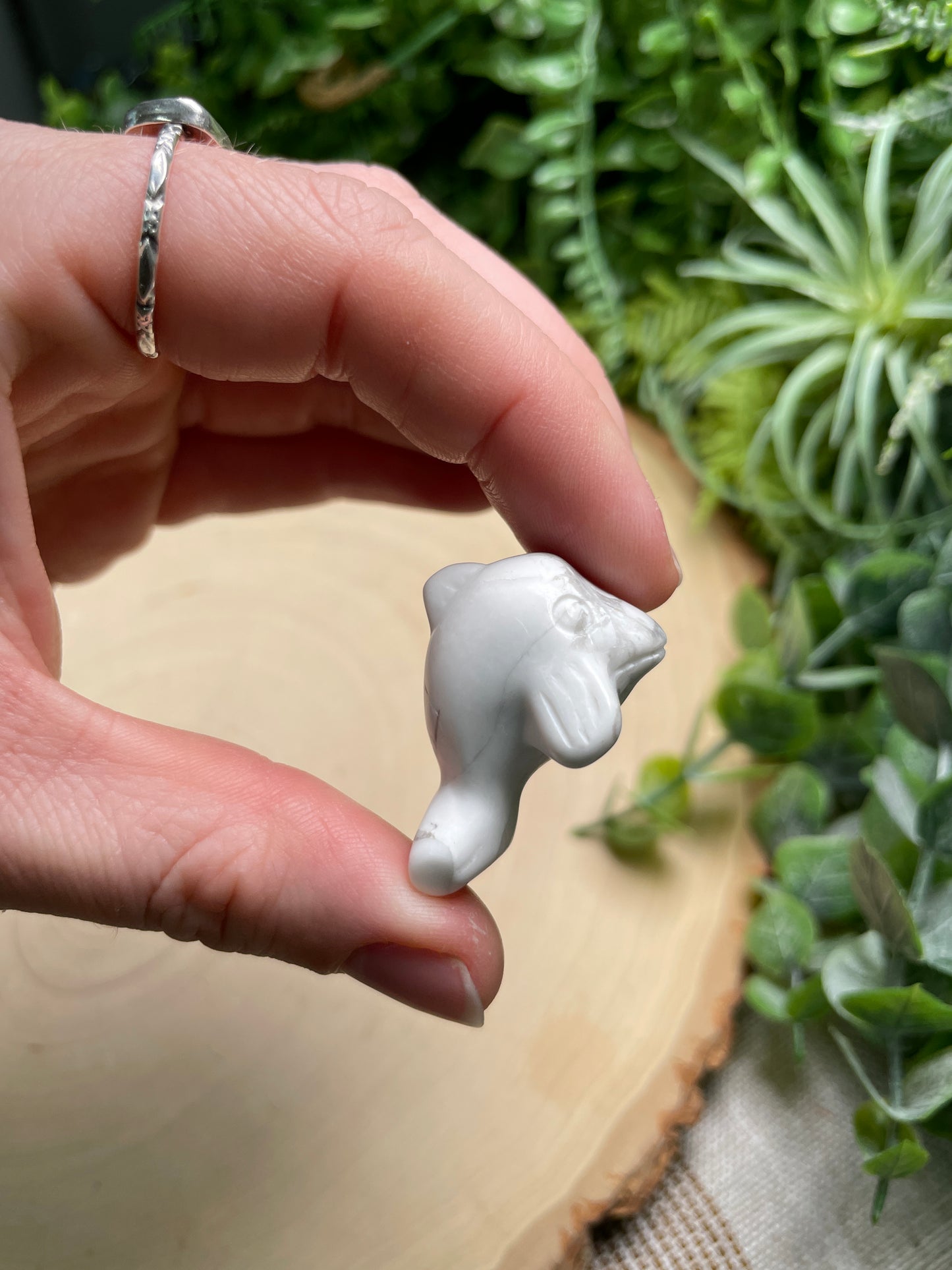 Howlite Dolphin