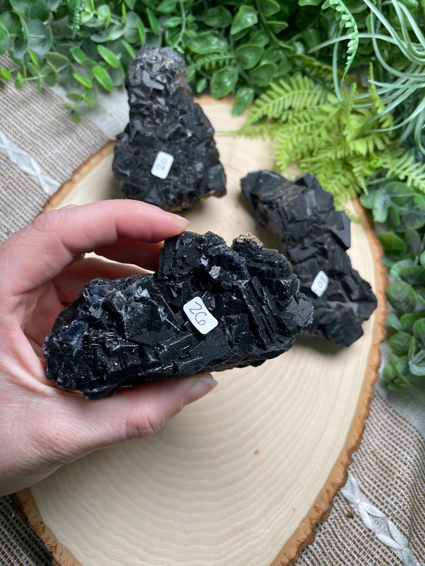 Black Fluorite