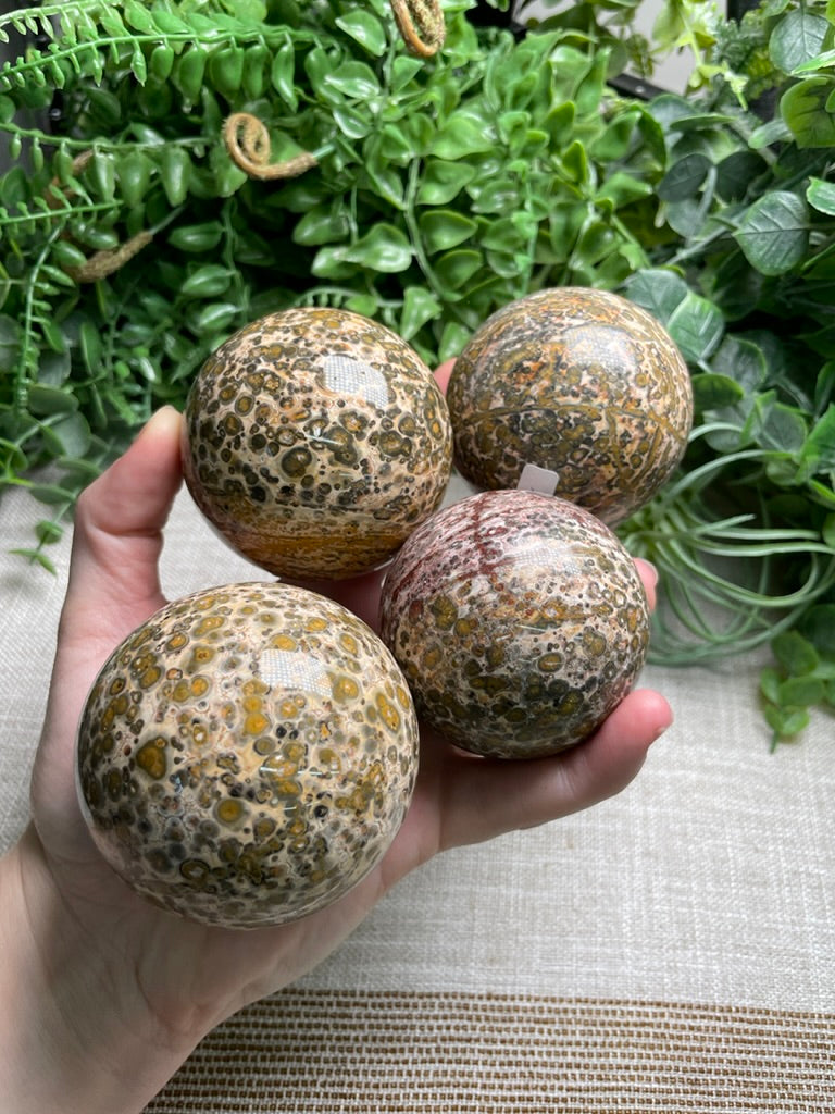 Leopard Skin Jasper Sphere