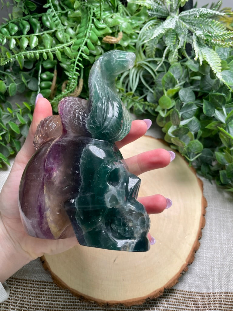 Fluorite Cobra on a Skull