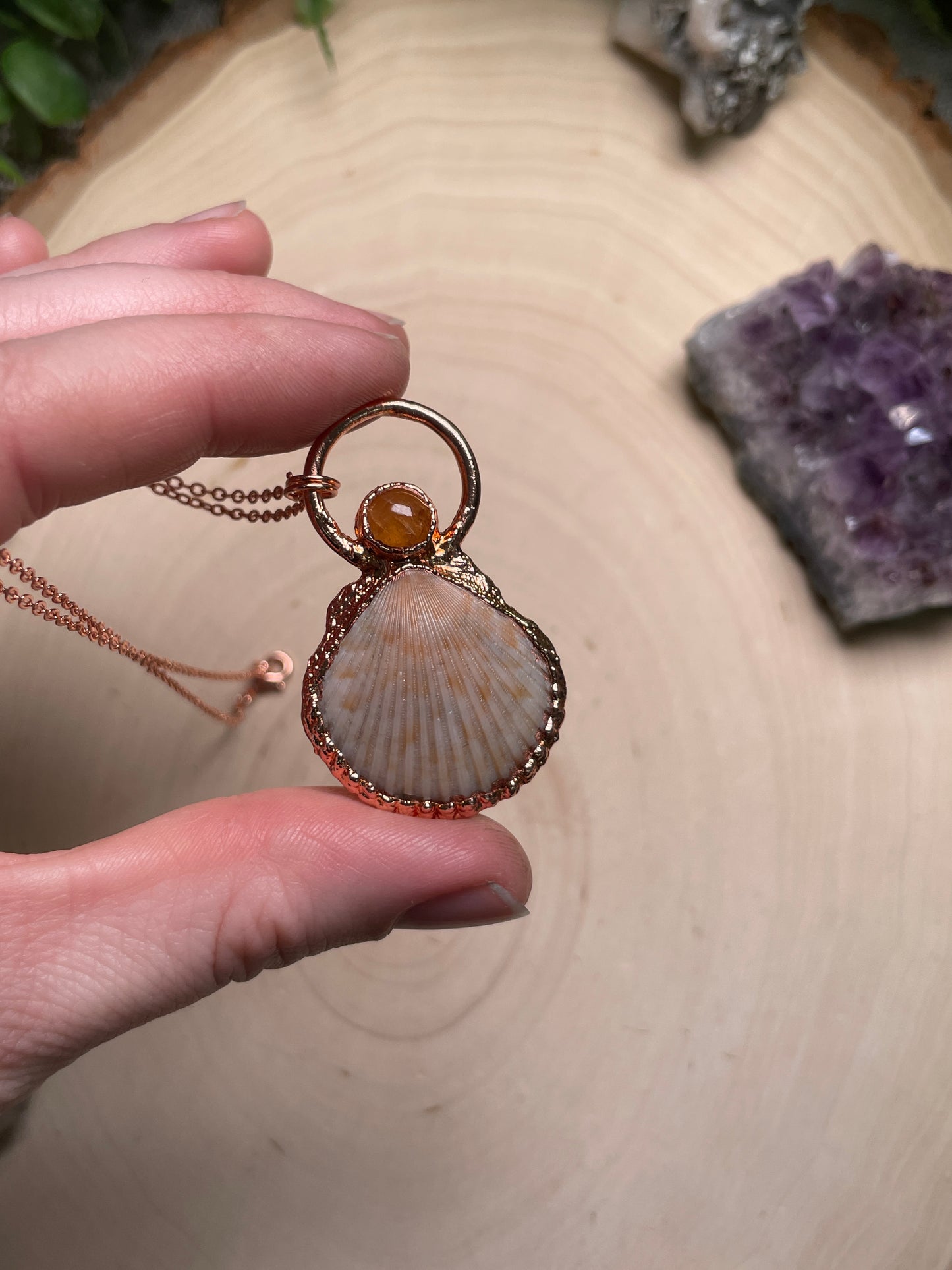 Scallop Shell Necklace