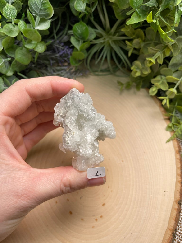 Apophyllite Cluster