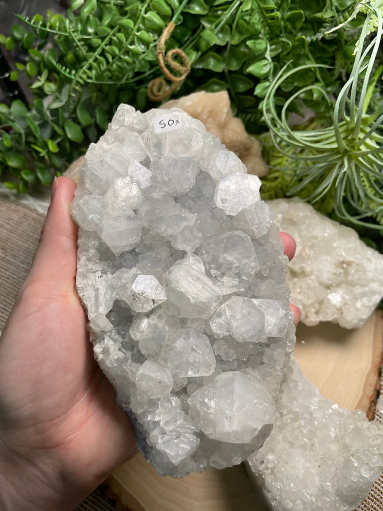 Large Apophyllite Cluster