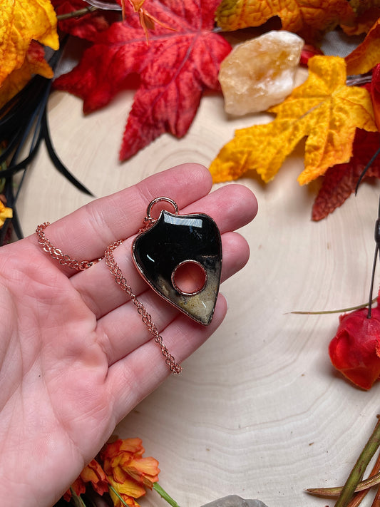 Fossilized Palm Root Planchette Necklace