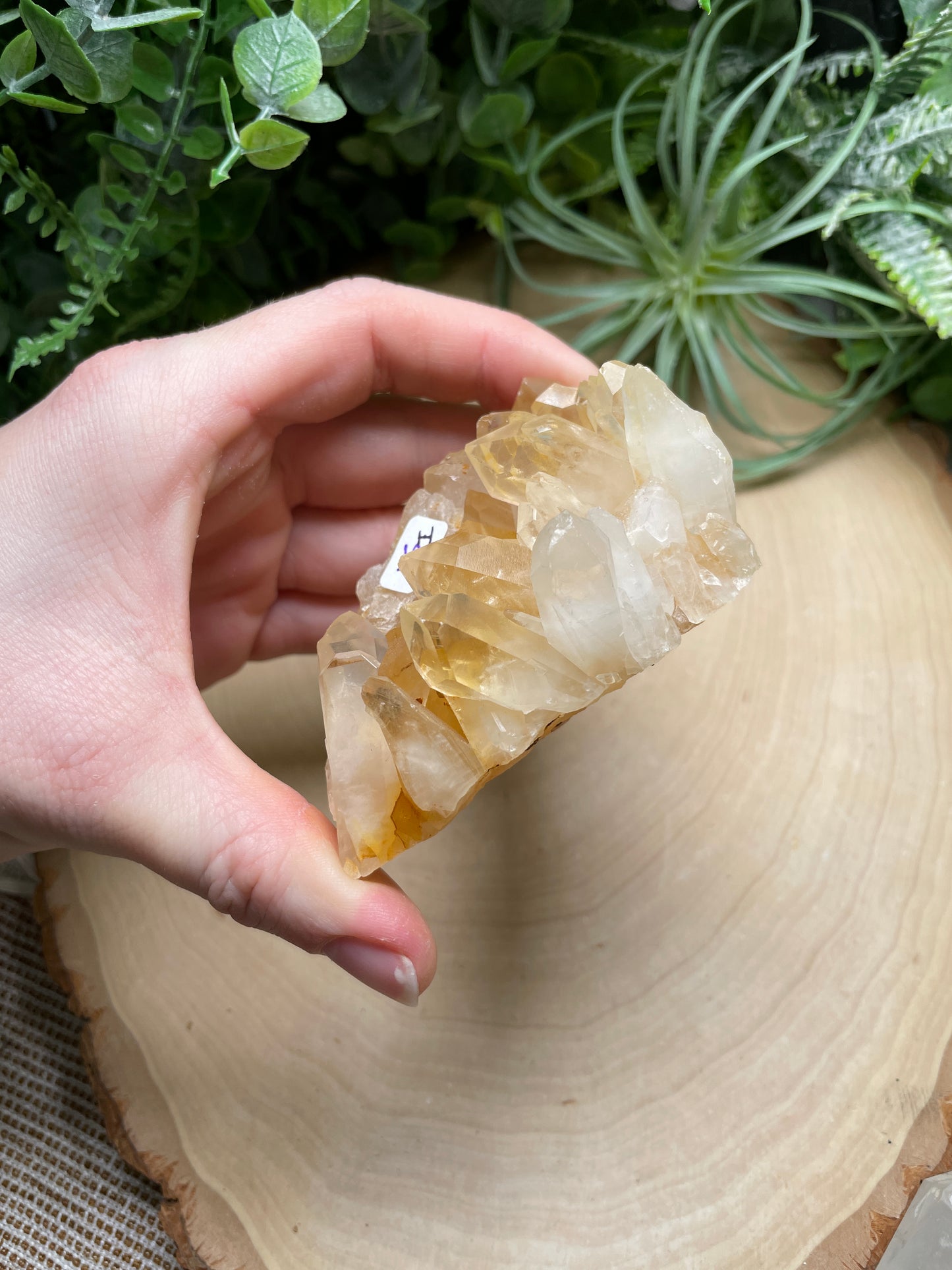 Quartz Cluster