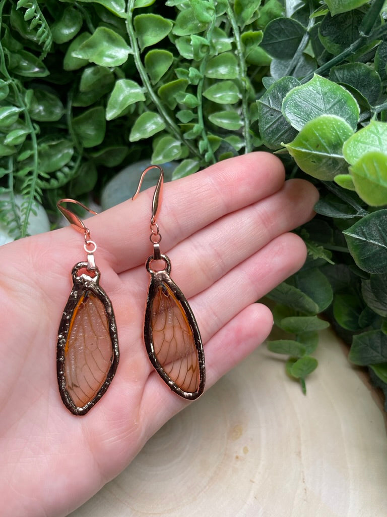 Cicada Wing Earrings