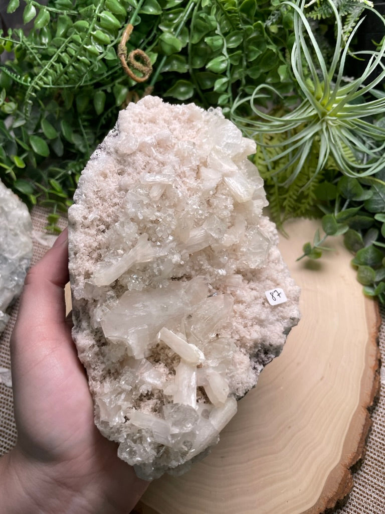 XL Apophyllite Cluster