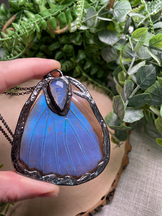 Moonstone Blue Morpho Moth Wing Necklace