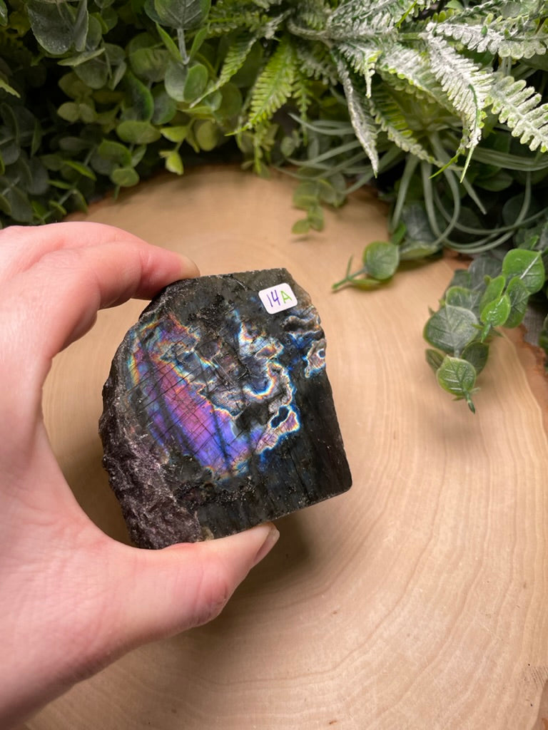 Labradorite Half-Polished Slab