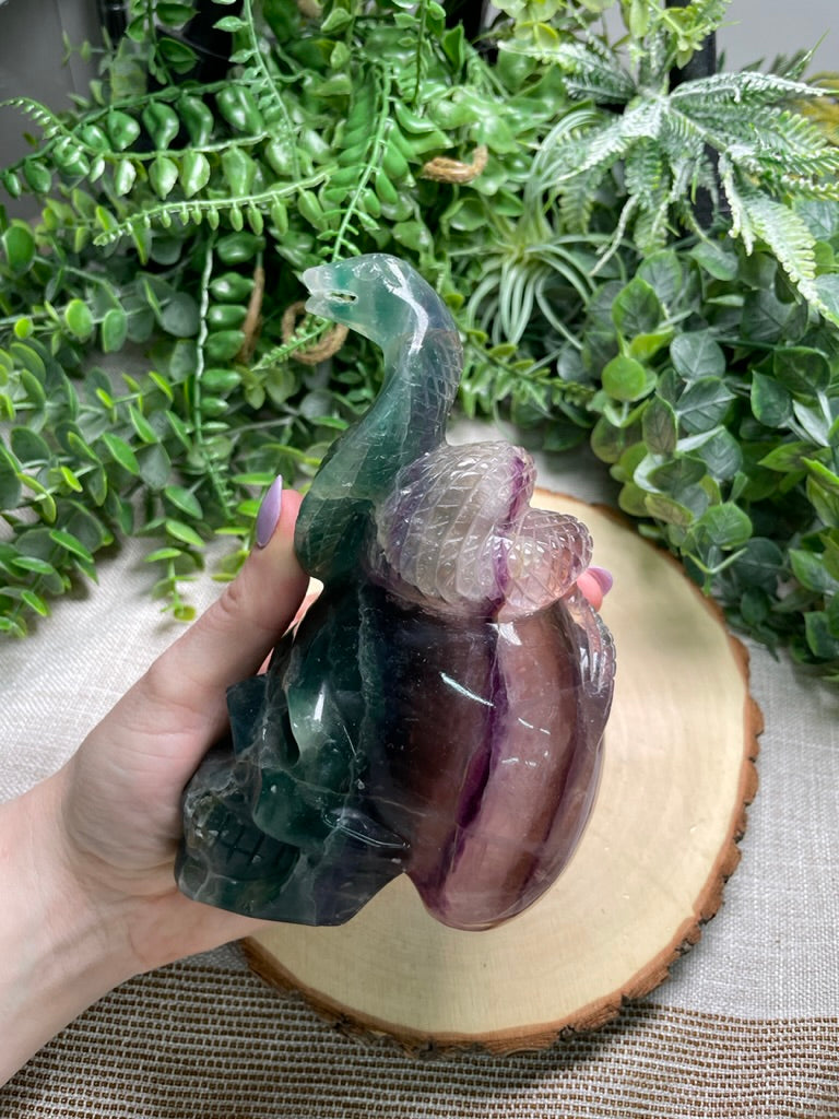 Fluorite Cobra on a Skull