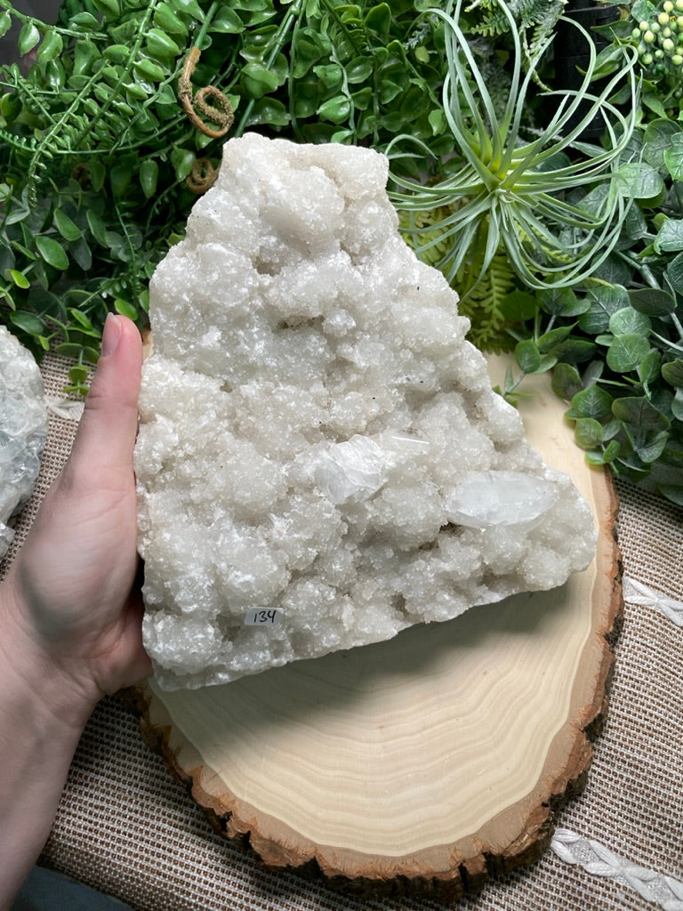 XXL Apophyllite Cluster