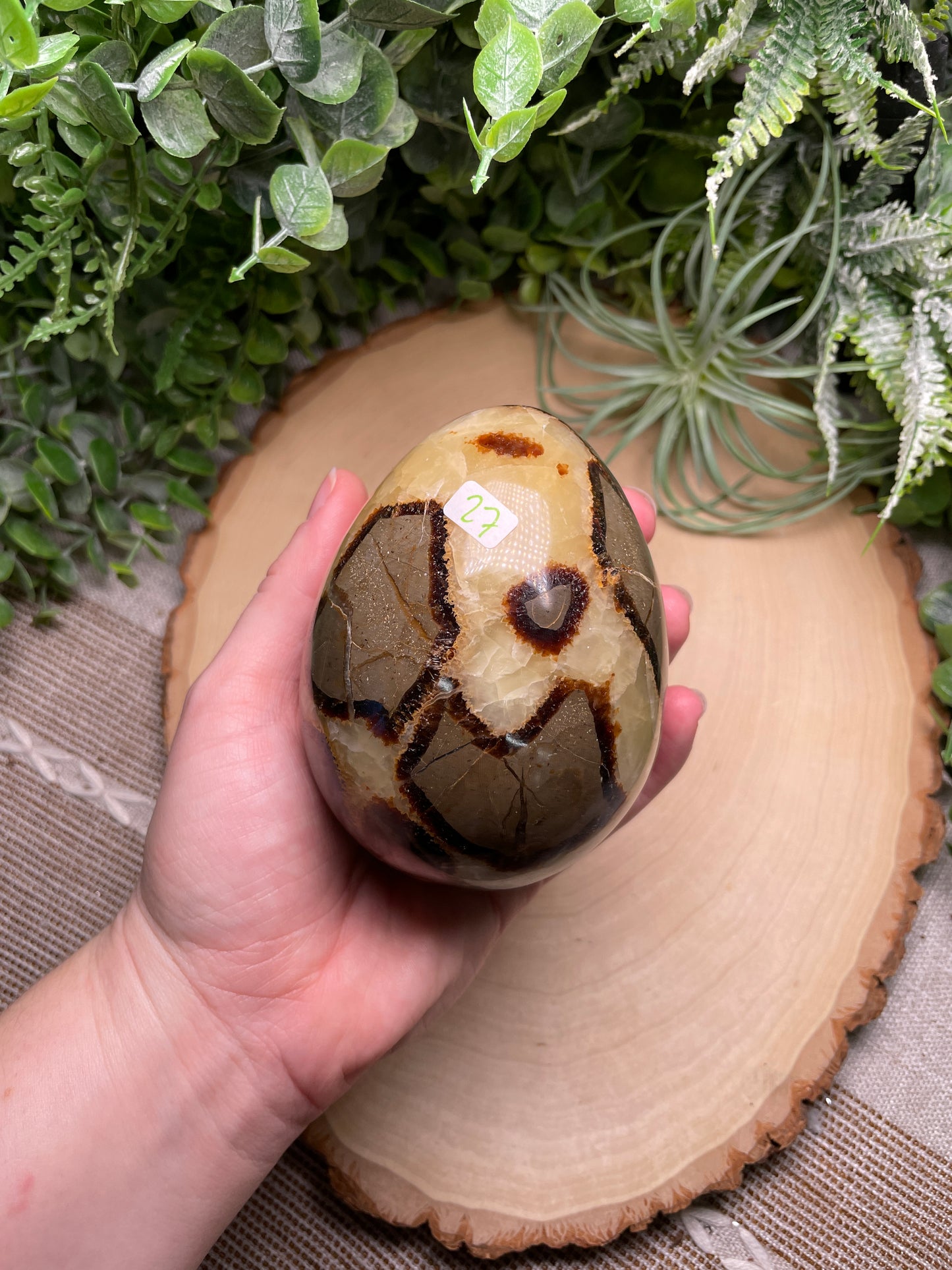 Septarian Egg