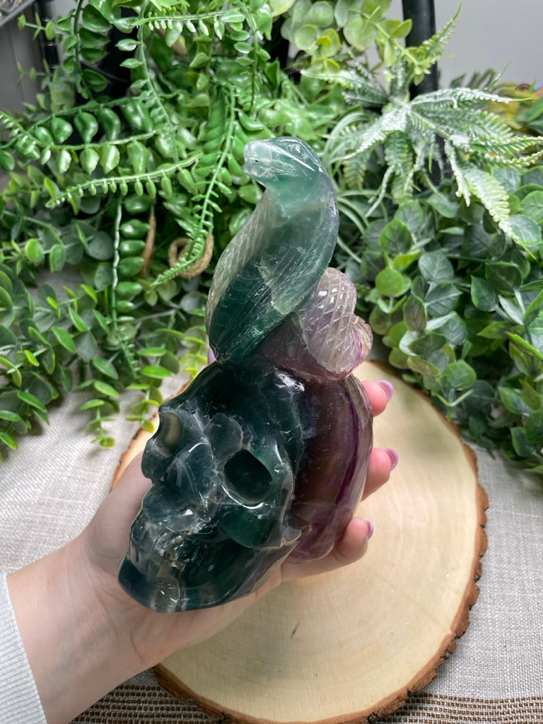 Fluorite Cobra on a Skull