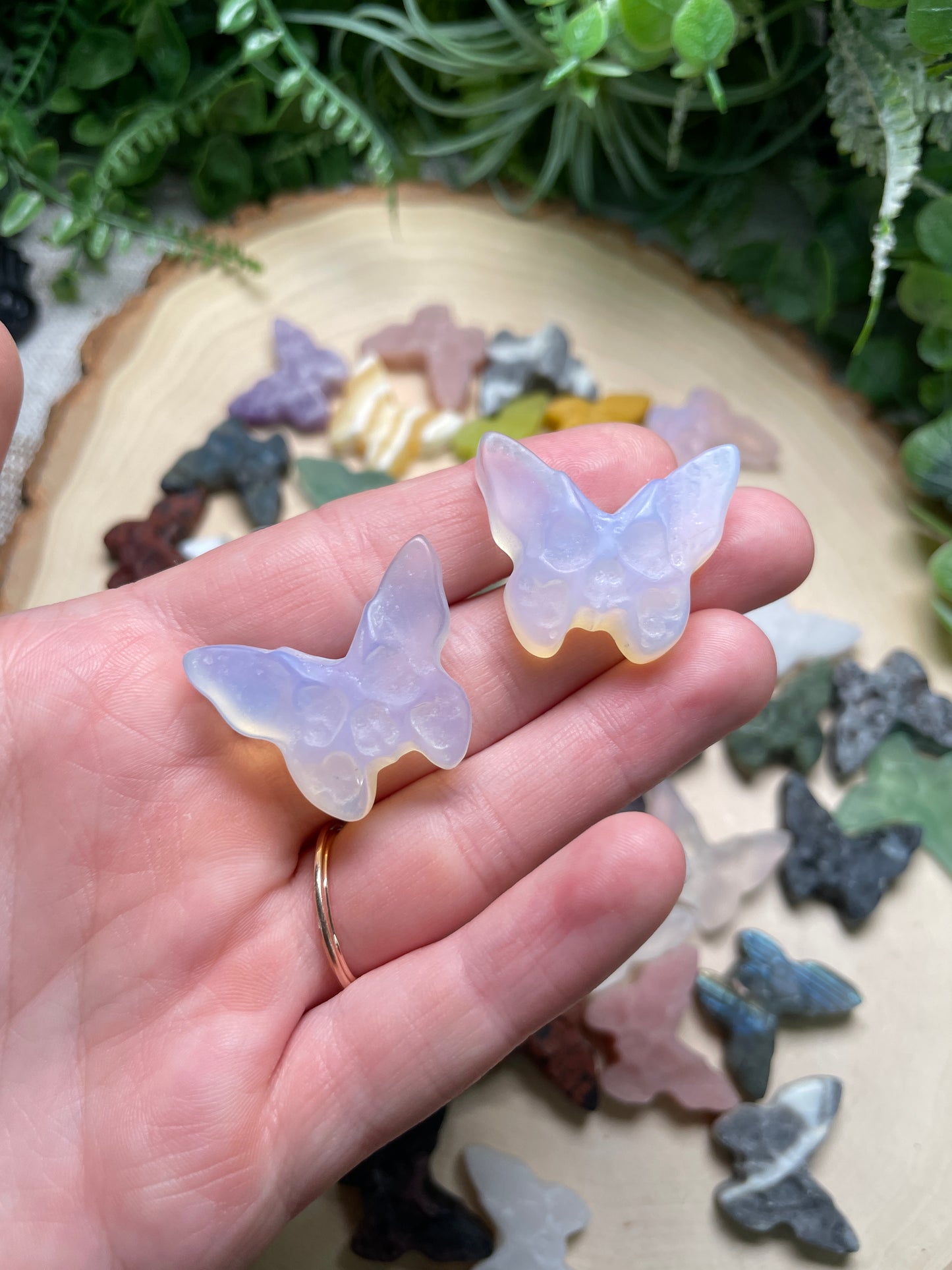 Crystal Skull Butterfly