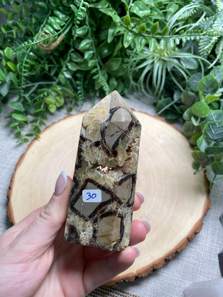 Septarian Tower