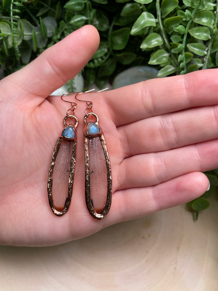 Dragonfly Wing and Moonstone Earrings