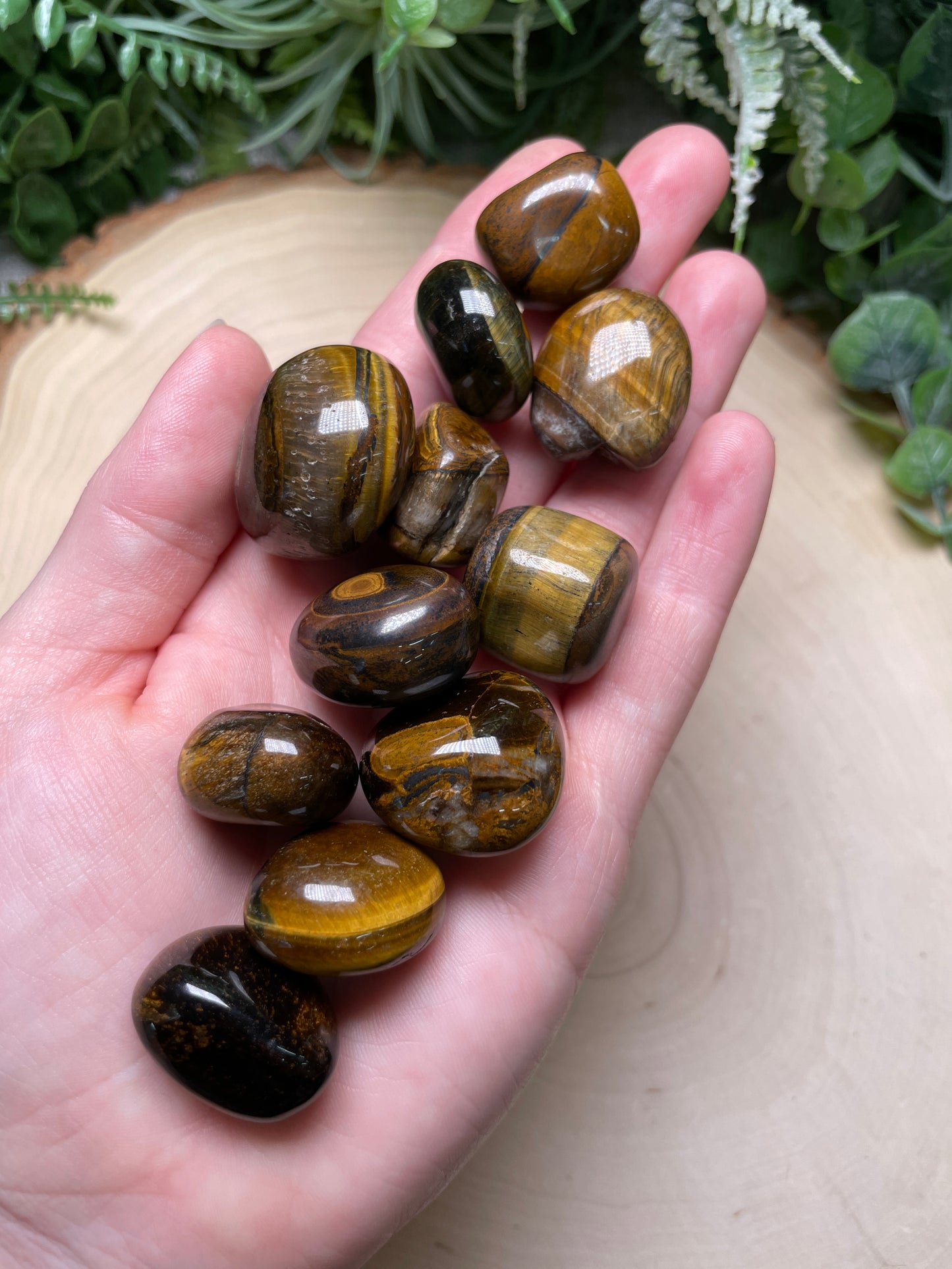 Tigers Eye Tumble