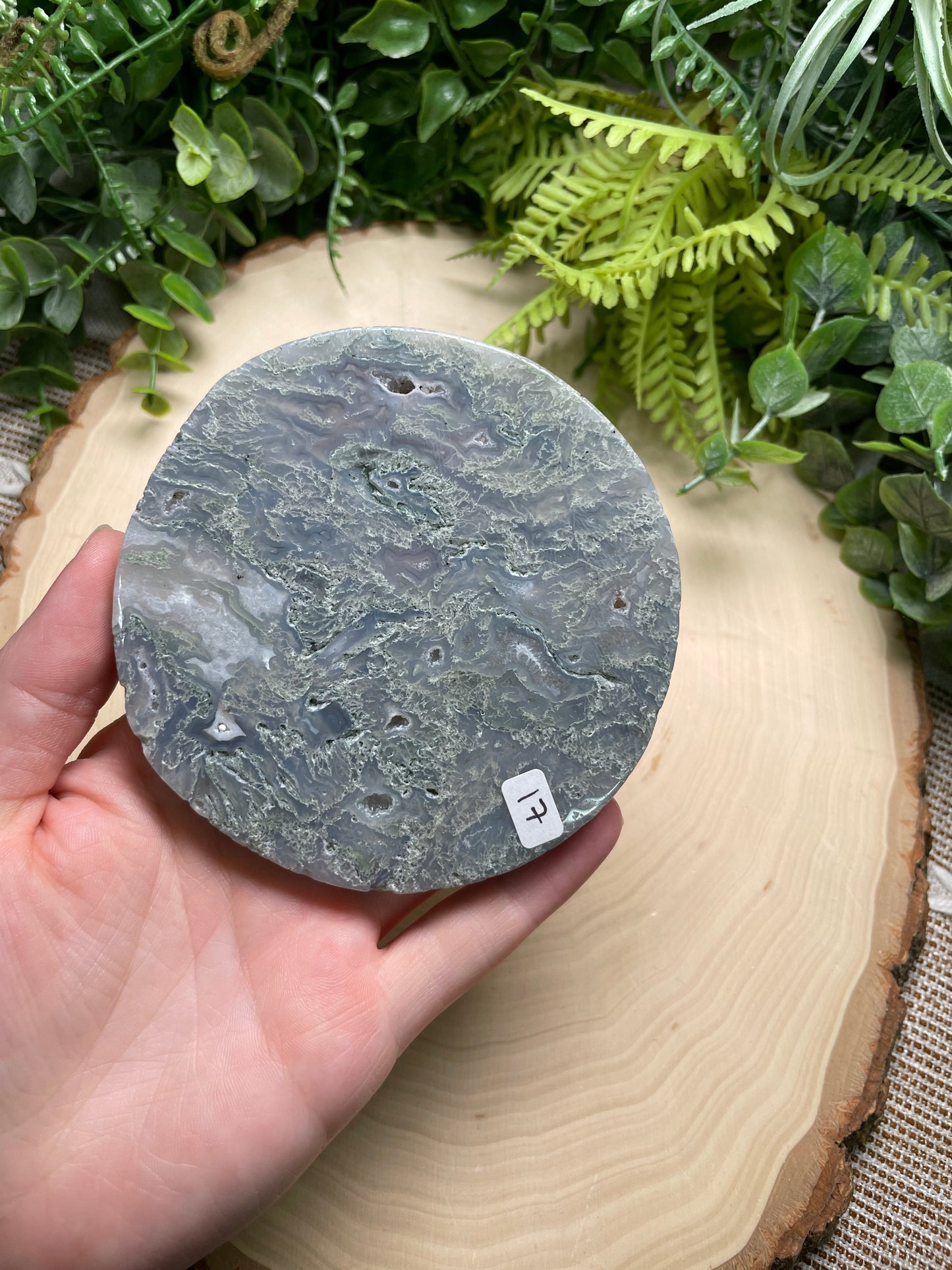 Moss Agate Disk