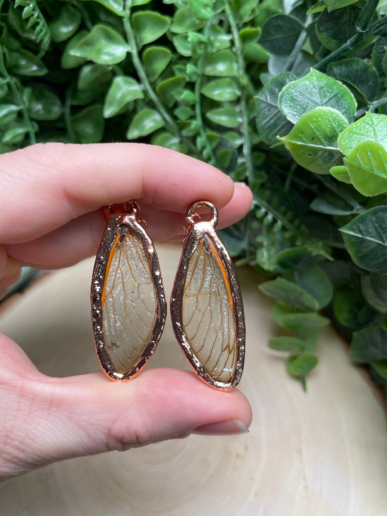 Cicada Wing Earrings