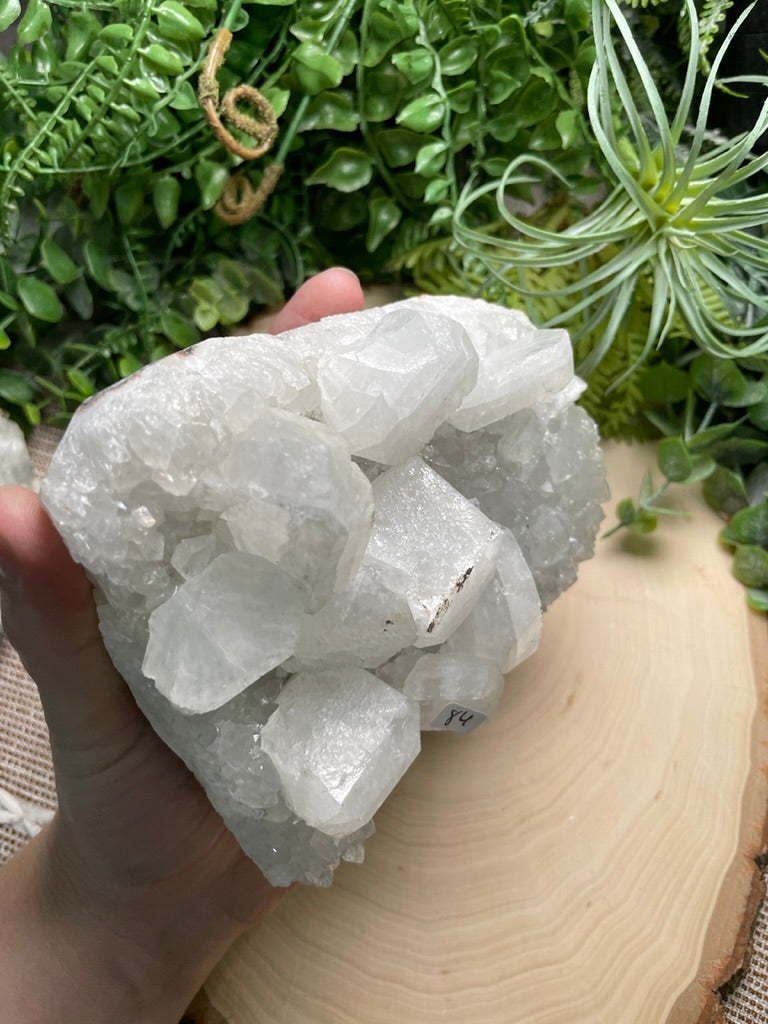 XL Apophyllite Cluster