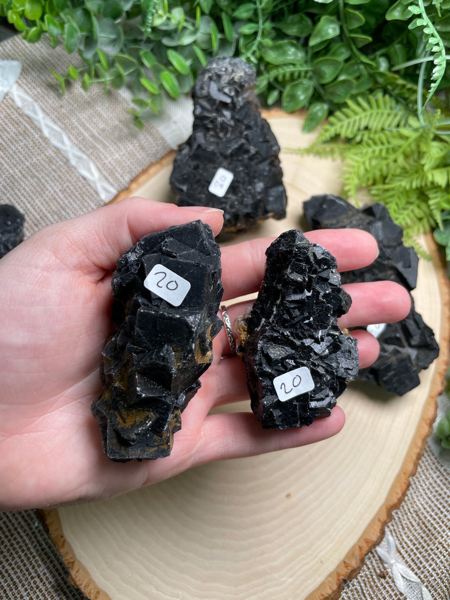 Black Fluorite