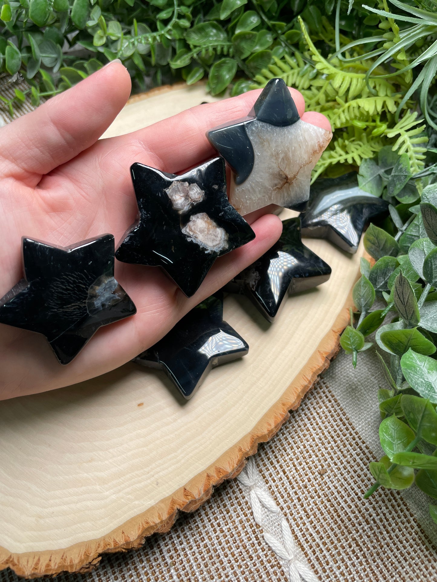 Black Flower Agate Star