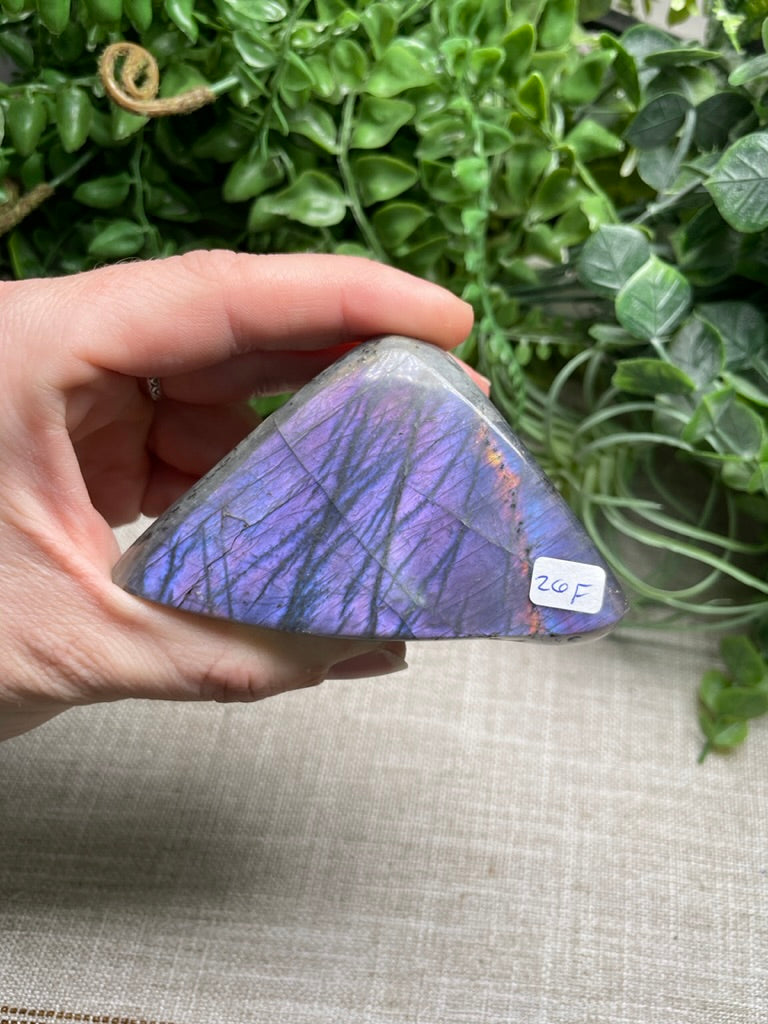 Purple Labradorite Freeform