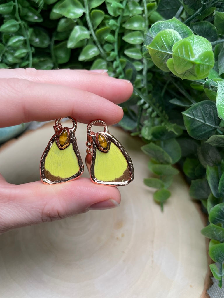 Butterfly Wing and Tigers Eye Earrings