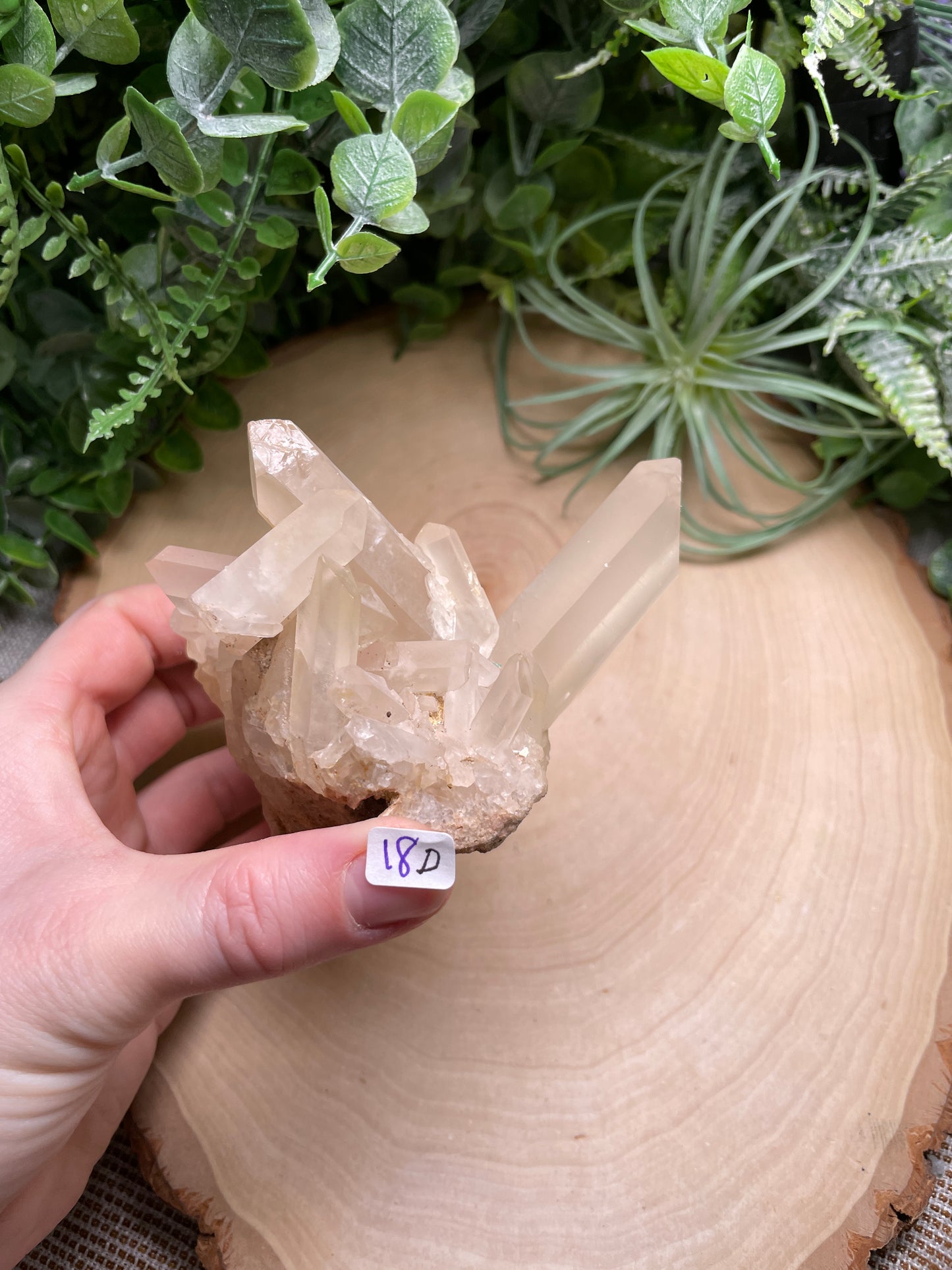 Quartz Cluster