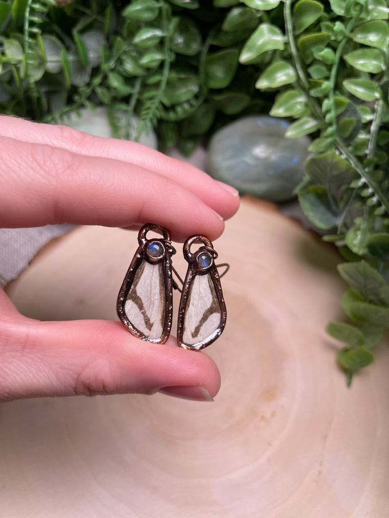 Moth Wing and Labradorite Earrings