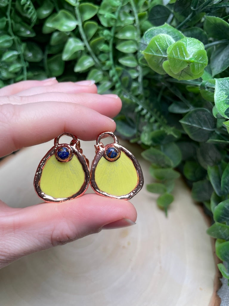 Butterfly Wing and Lapis Earrings