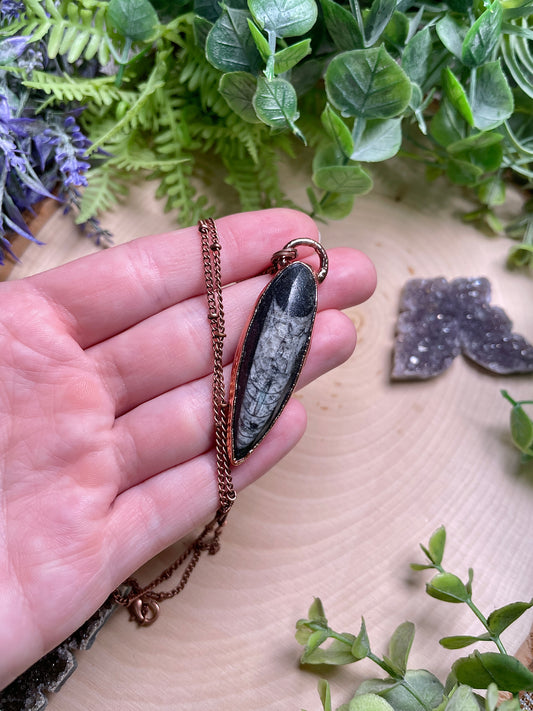 Dagger- Orthoceras Fossil Necklace