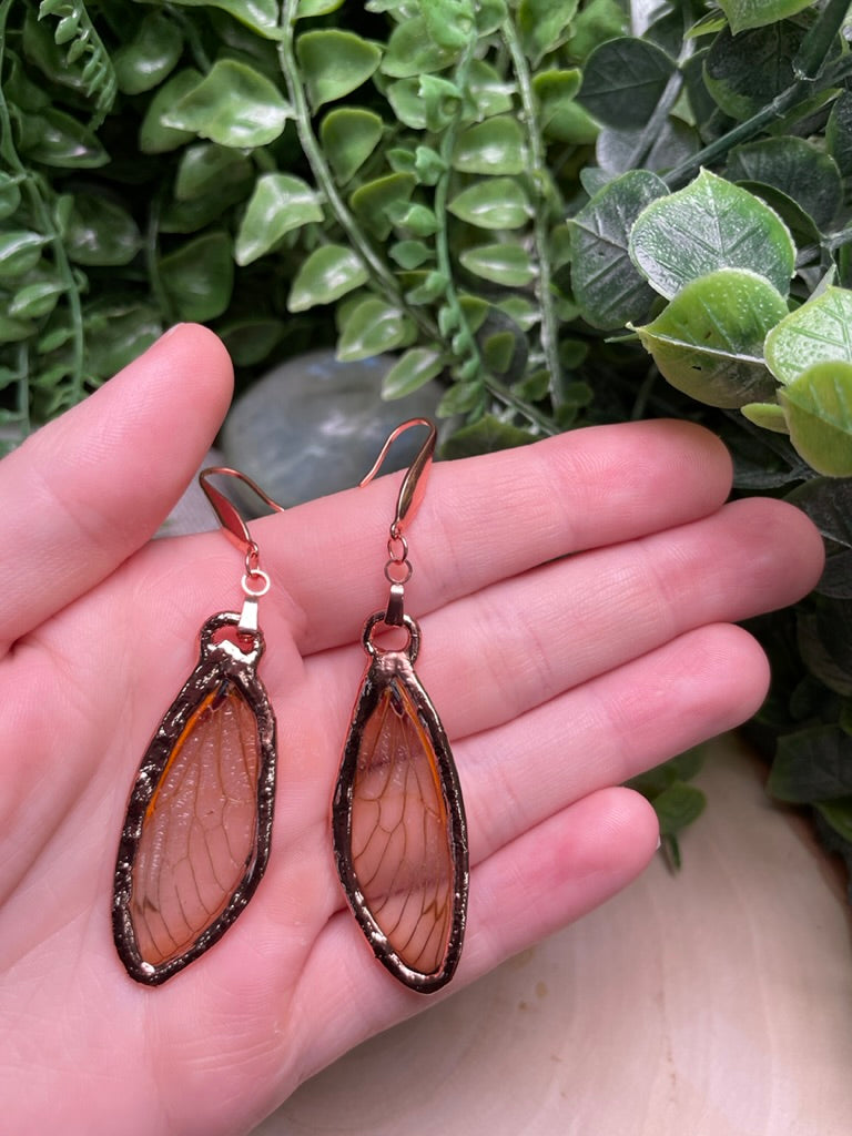 Cicada Wing Earrings