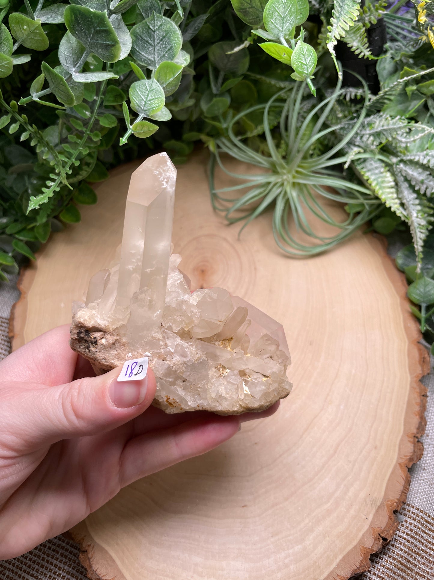 Quartz Cluster