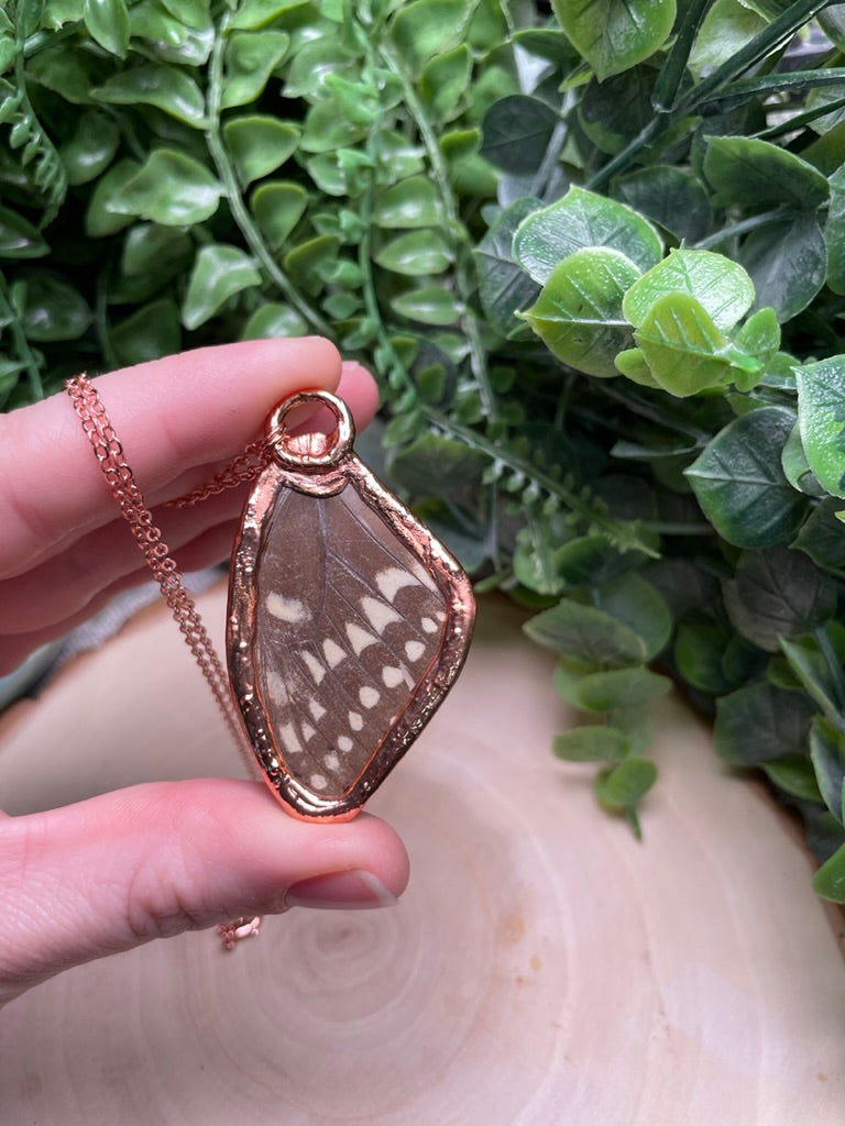 Butterfly Wing and Moonstone Necklace