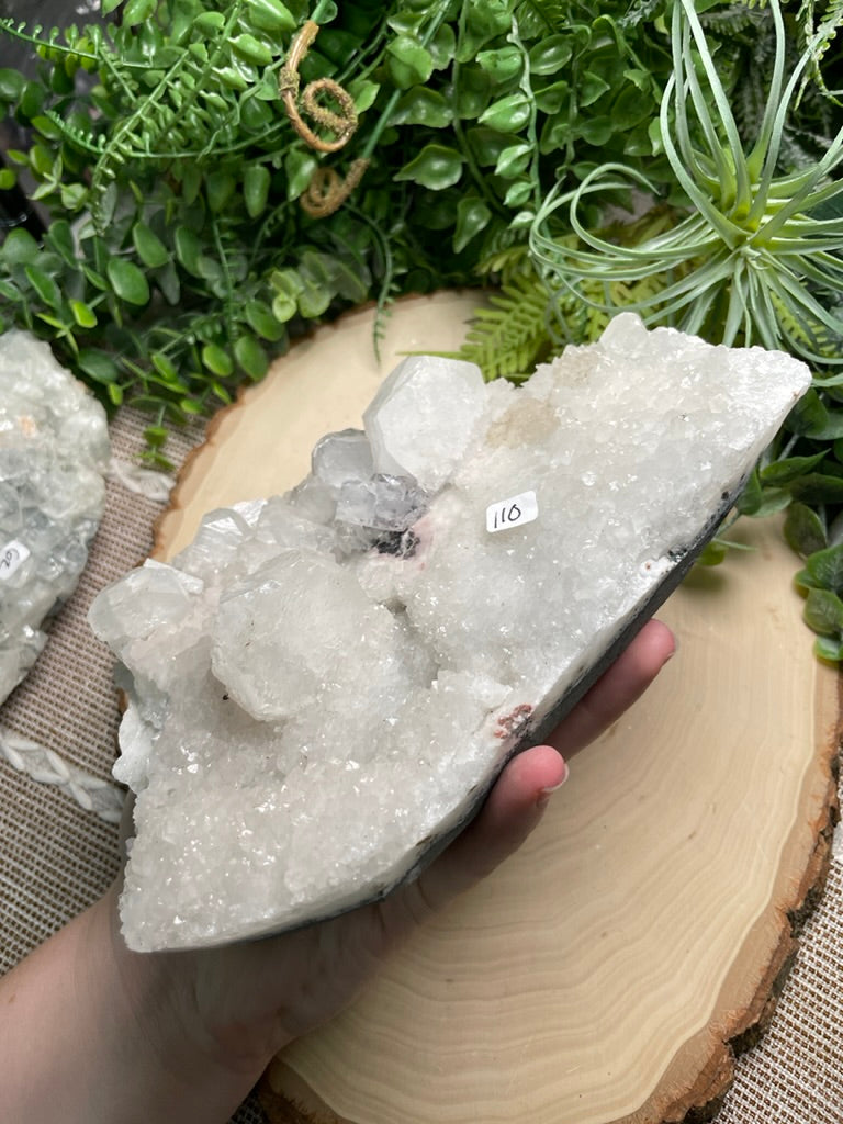 XL Apophyllite Cluster