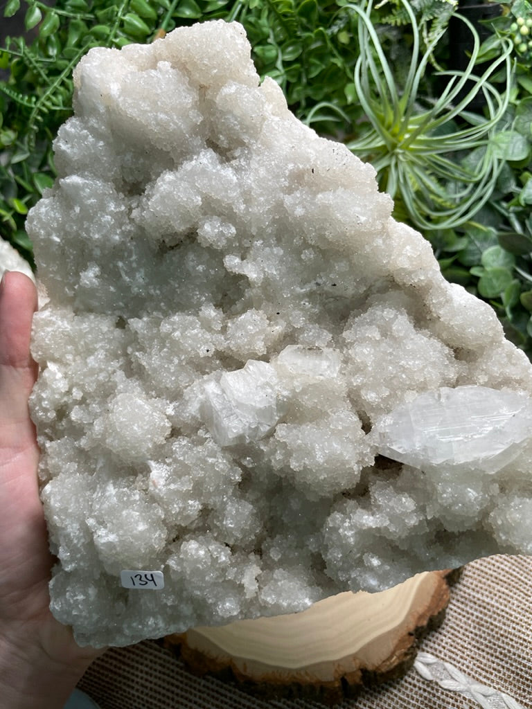 XXL Apophyllite Cluster