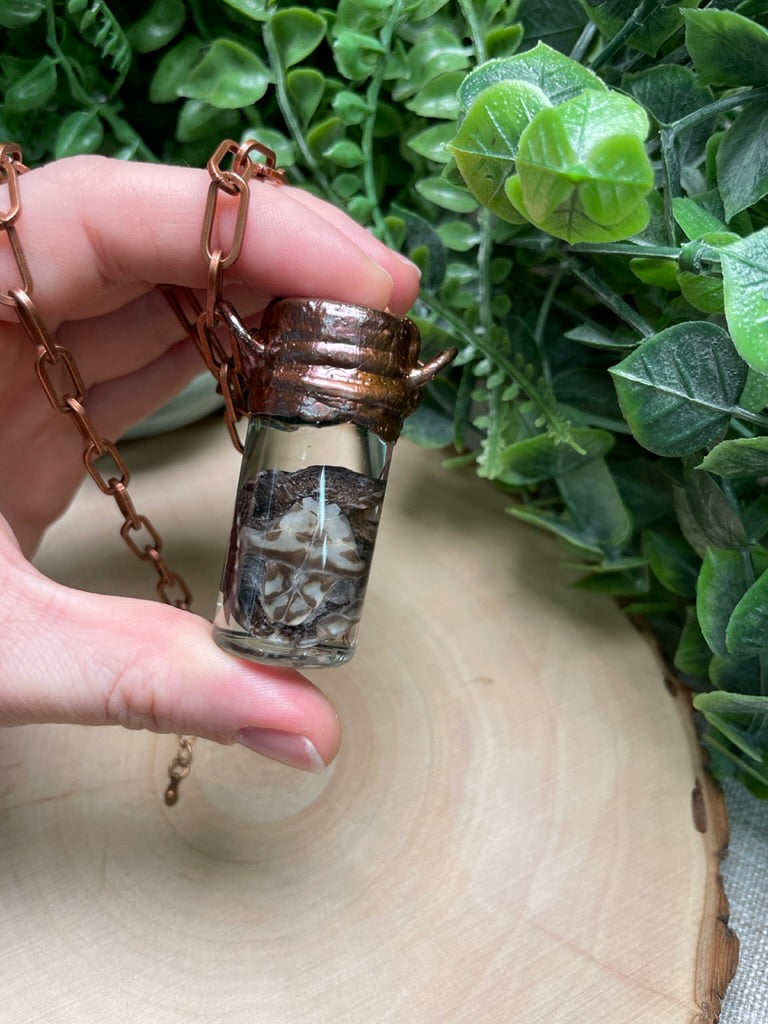 Amethyst and Wet Specimen Baby Turtle in a Glass Vial Necklace