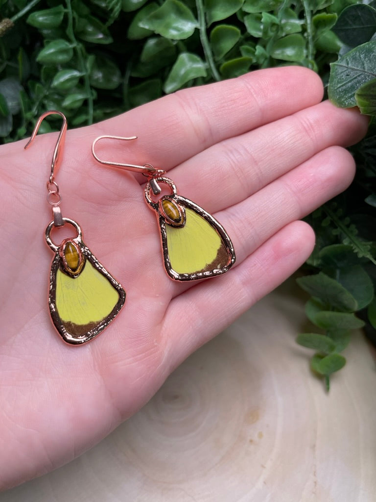 Butterfly Wing and Tigers Eye Earrings