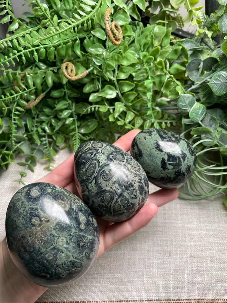 Kambaba Jasper Egg