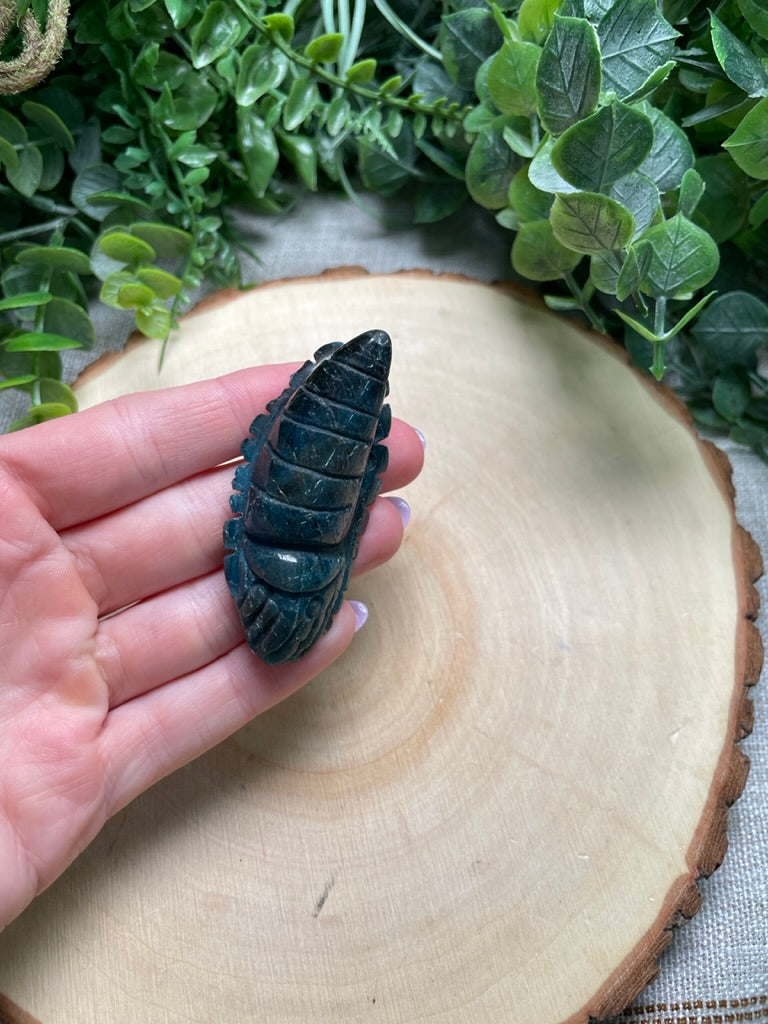 Blue Apatite Ammonite (chipped)