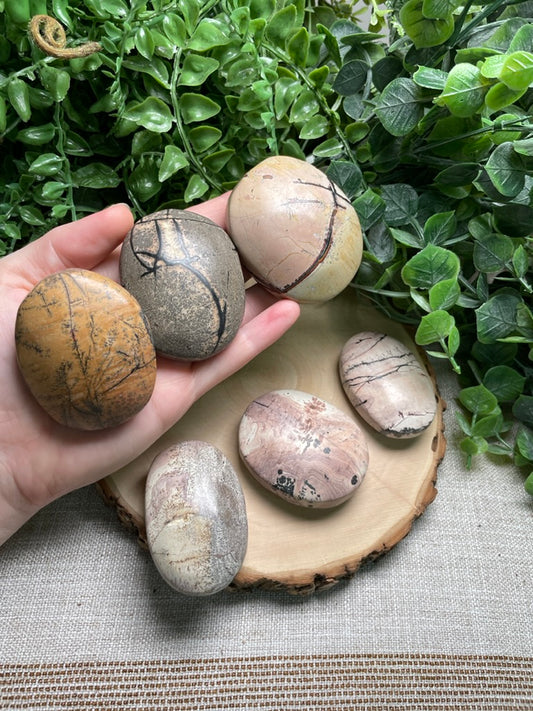 Picture Jasper Palm Stone