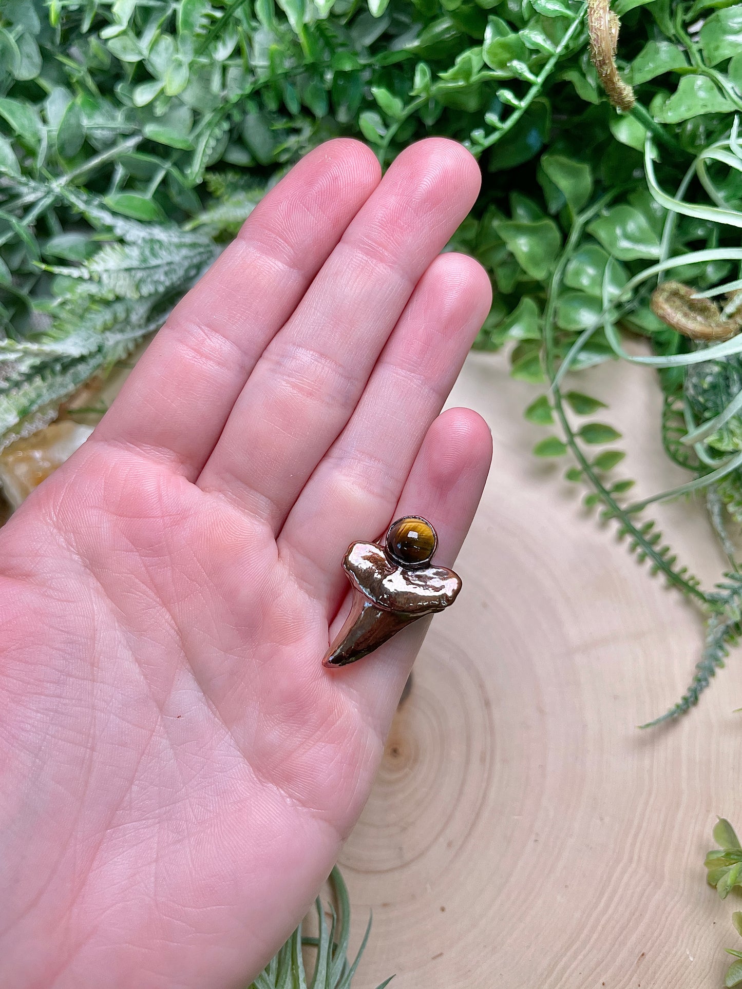 Shark's Tooth and Tigers Eye Ring Size 3
