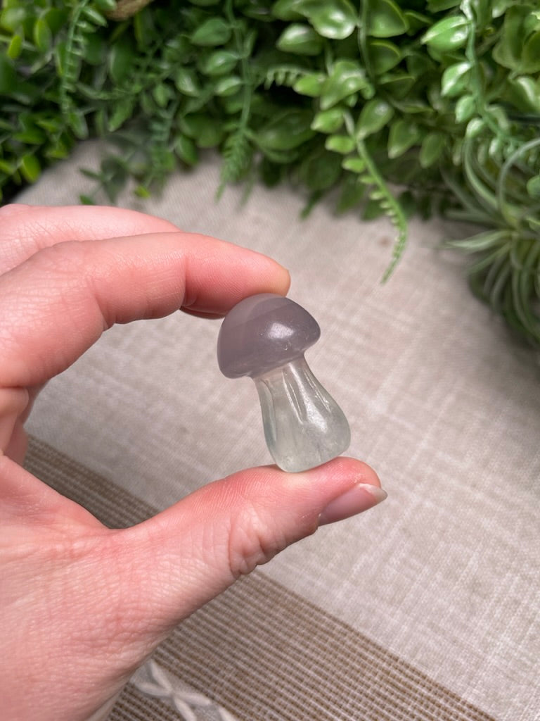 Crystal Mushroom