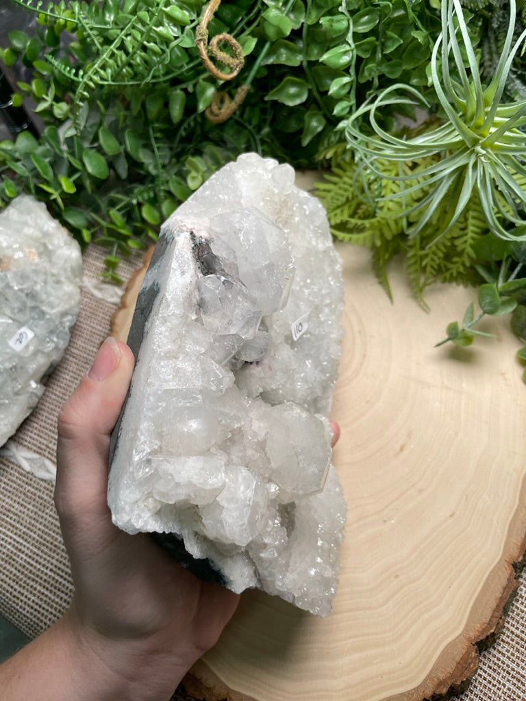 XL Apophyllite Cluster