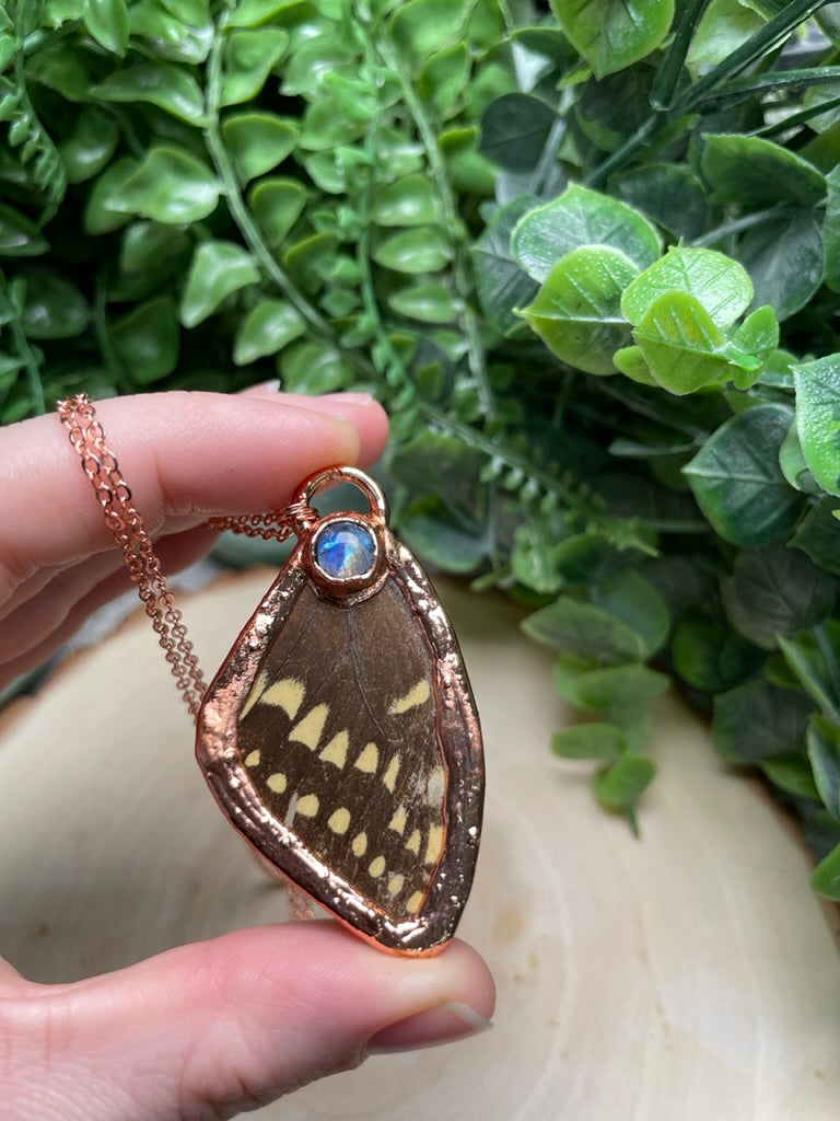 Butterfly Wing and Moonstone Necklace