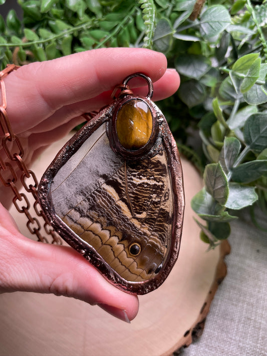 Tigers Eye Moth Wing Necklace