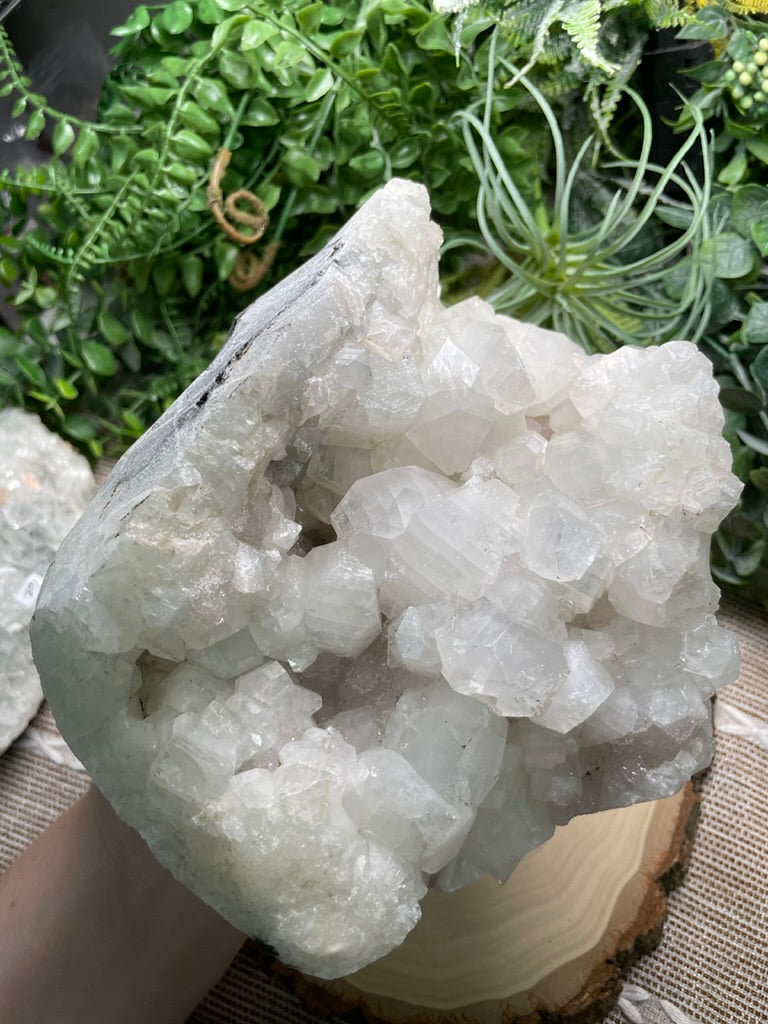 XXL Apophyllite Cluster